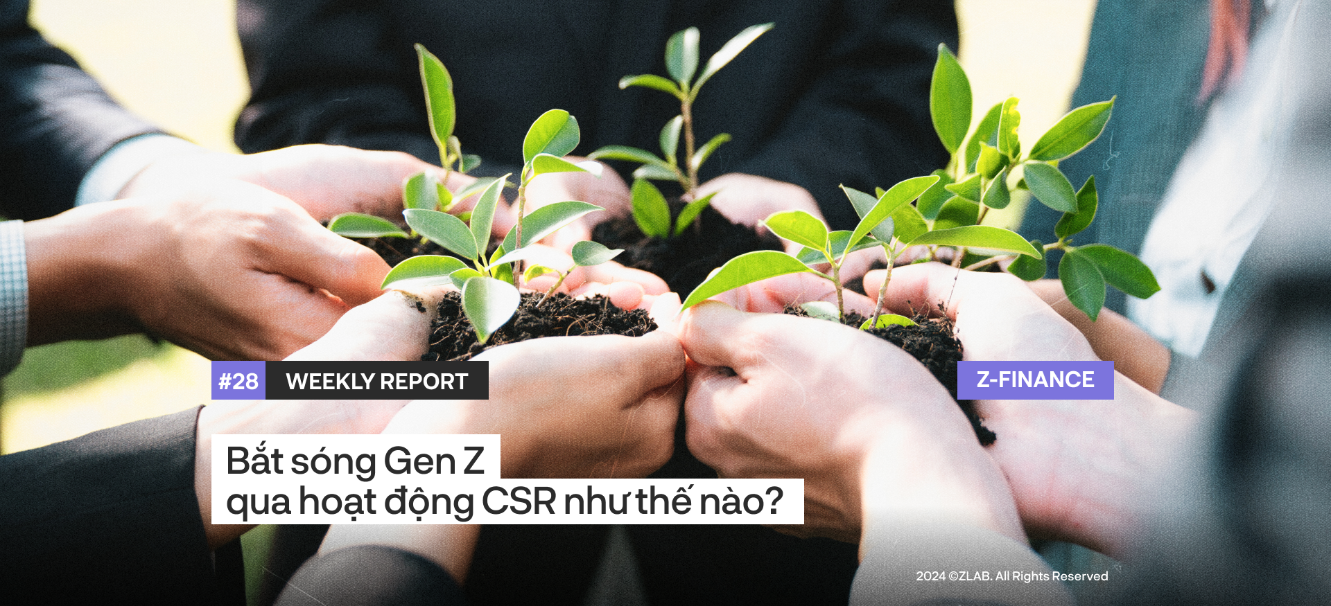 Bắt sóng Gen Z qua hoạt động CSR như thế nào?