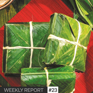 Z-Campaign Festive Season: Brand ứng dụng công nghệ và AI vào các campaign mùa lễ hội để tạo hiệu ứng thế nào?